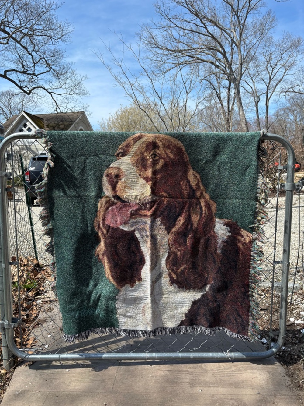 Large Green Dog Tapestry Throw Blanket with Brown Spaniel